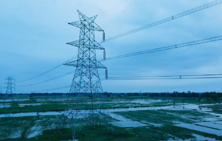 फाइल तस्बिर।